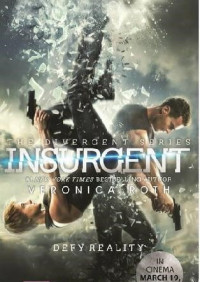 Image of Insurgent: the divergent series